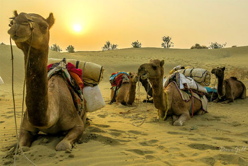 Rajasthan Tour